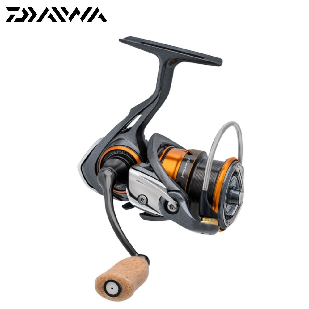 best light spinning reel for trout