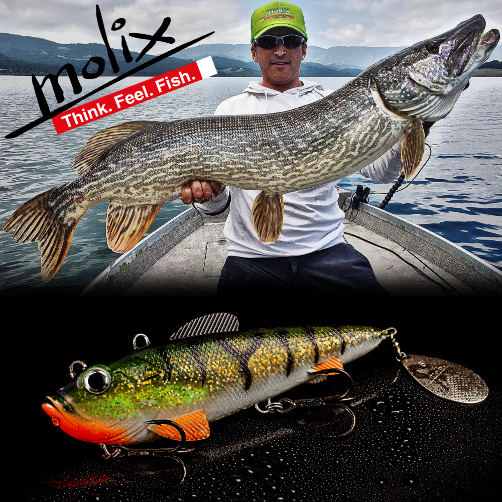 MOLIX Pike & Catfish Fishing Soft Bait Lure Spin Shad 160