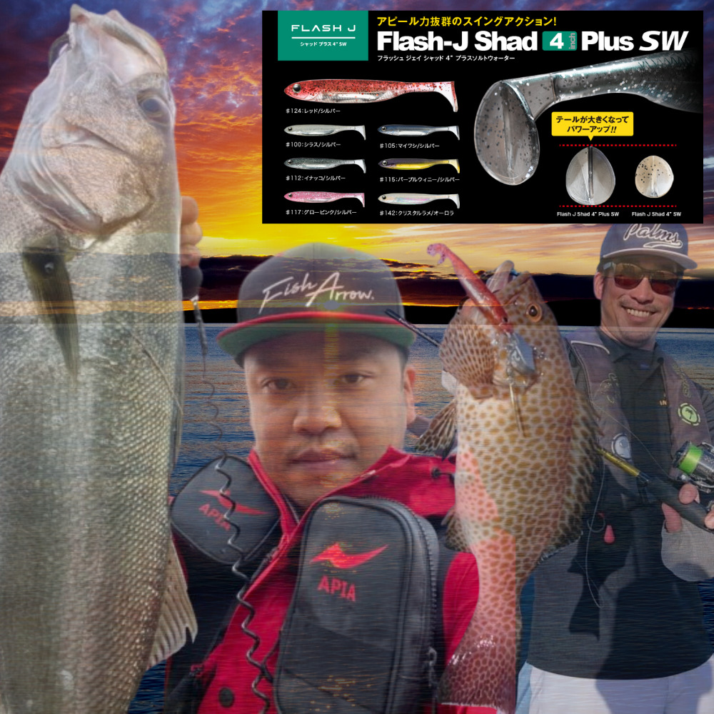 FISH ARROW Fishing Realistic Soft Bait Lure FLASH-J SHAD 4” SW PLUS