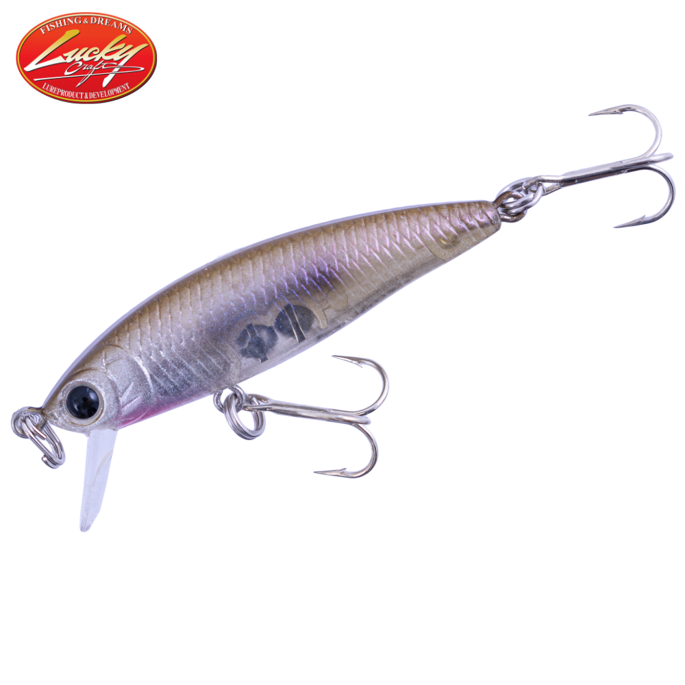 https://www.24-7-fishing.com/wp-content/uploads/2021/01/BEVY2045S20TANE20BAIT201.png